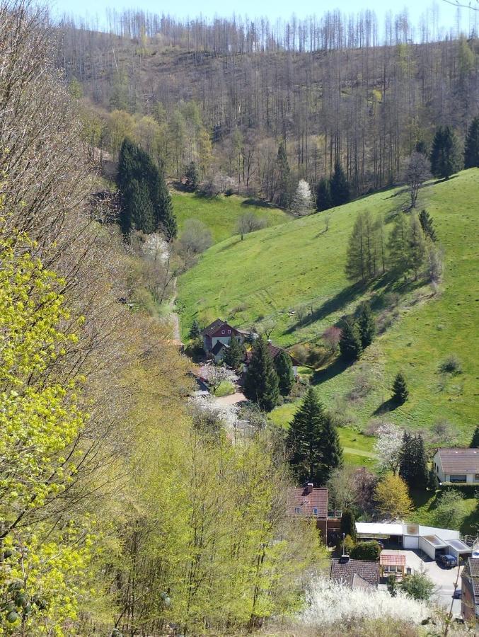 شقة Olifant In Osterode Osterode am Harz المظهر الخارجي الصورة