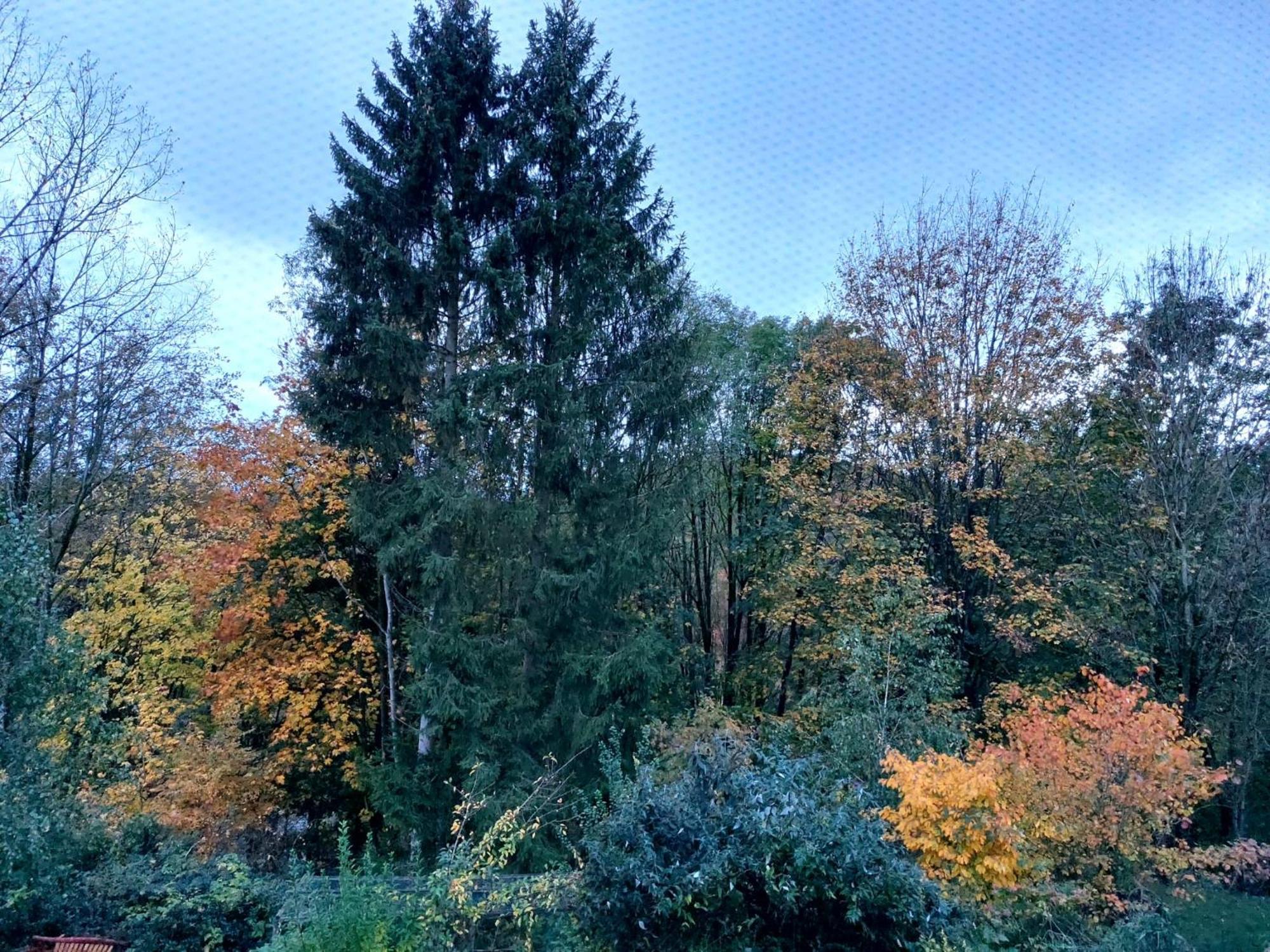 شقة Olifant In Osterode Osterode am Harz المظهر الخارجي الصورة
