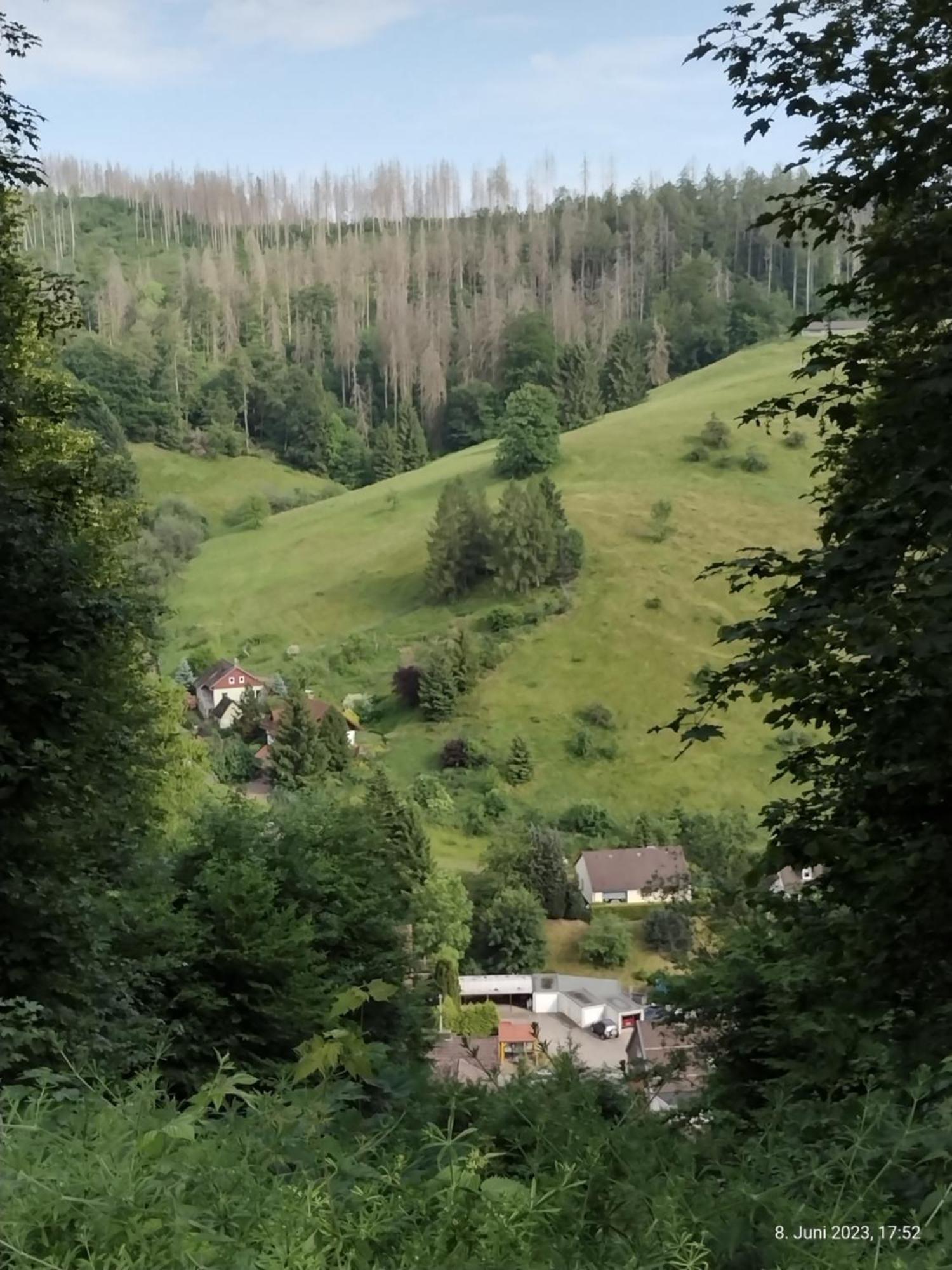 شقة Olifant In Osterode Osterode am Harz المظهر الخارجي الصورة