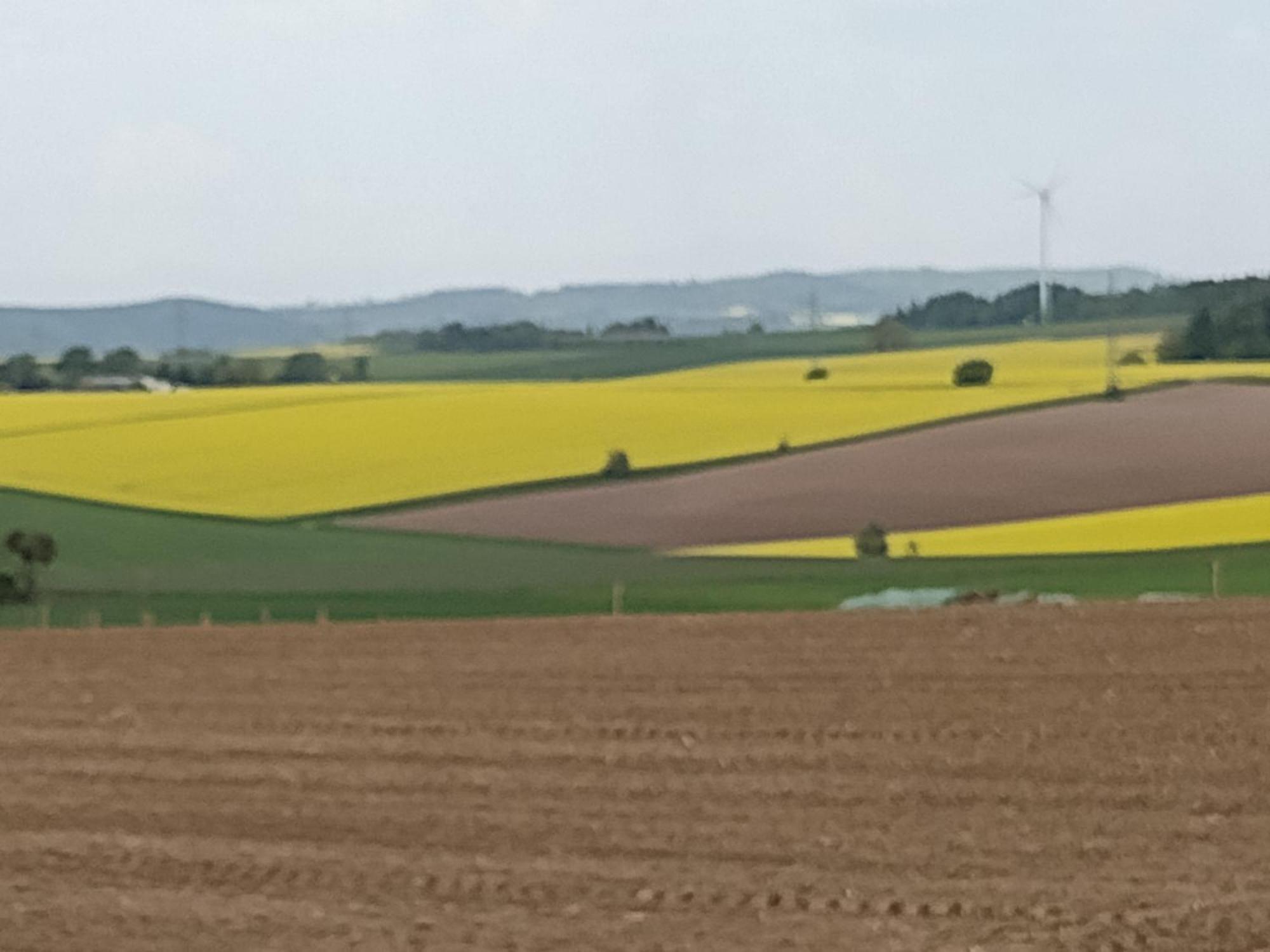 شقة Olifant In Osterode Osterode am Harz المظهر الخارجي الصورة