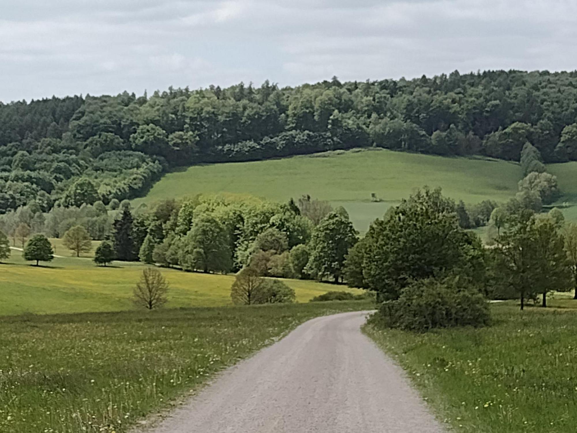 شقة Olifant In Osterode Osterode am Harz المظهر الخارجي الصورة