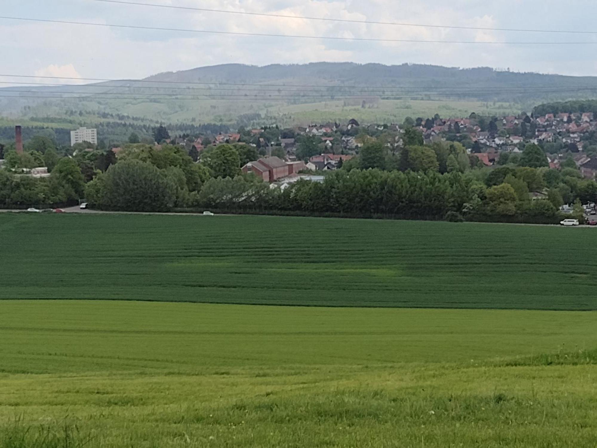 شقة Olifant In Osterode Osterode am Harz المظهر الخارجي الصورة