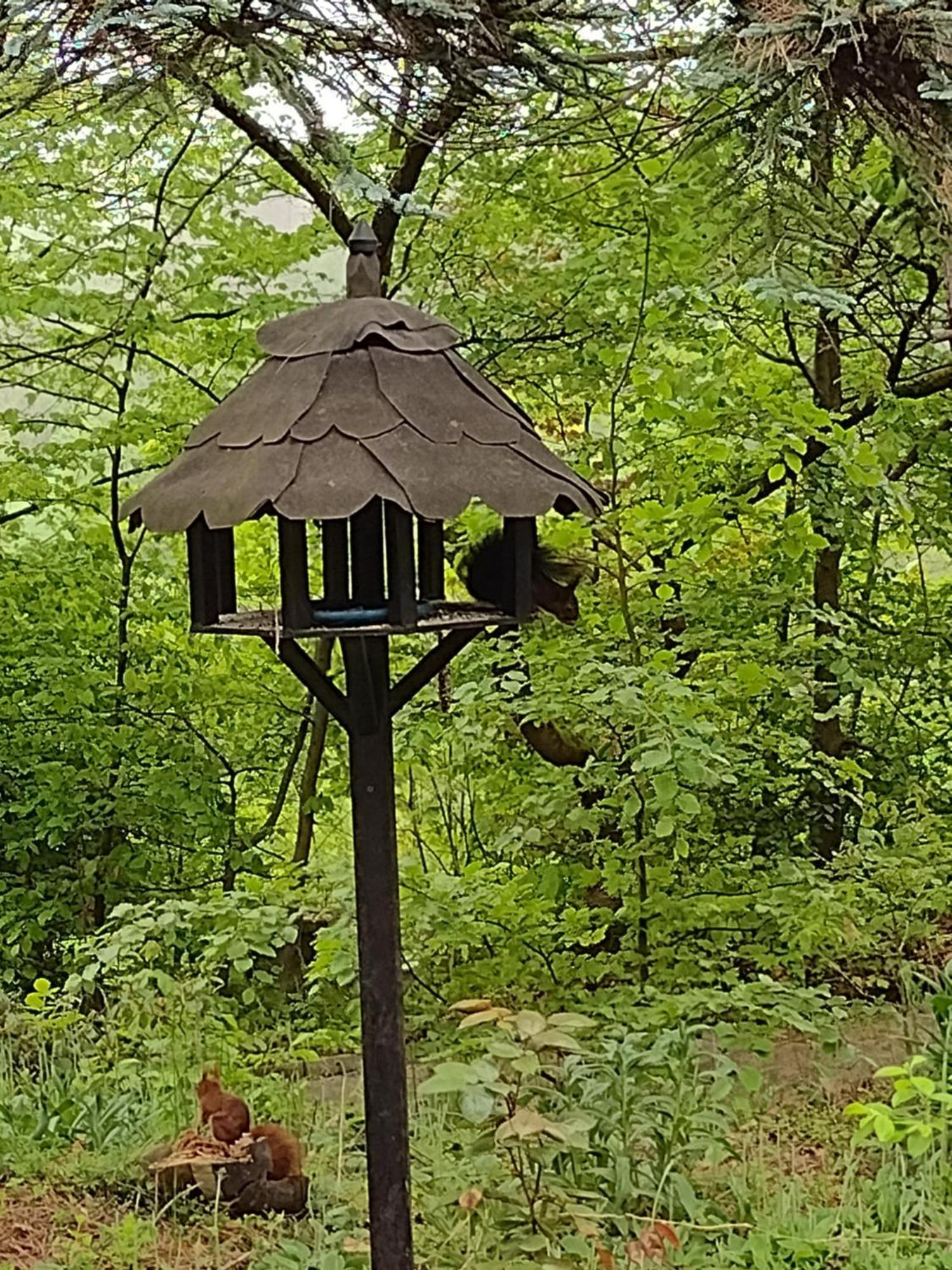 شقة Olifant In Osterode Osterode am Harz المظهر الخارجي الصورة